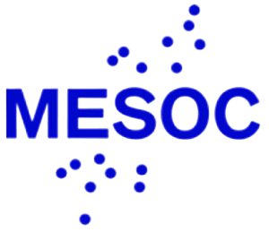 mesoc-1-300x259